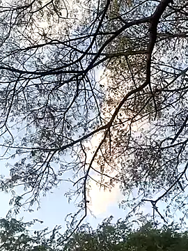 Snapshot of Teluguammai_123 chatting on July 12, 2026, 1:02 pm Teluguammai 123 online show from July 12, 2026, 1:02 pm