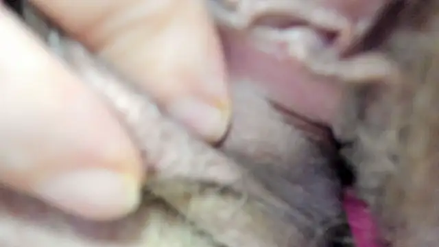 vitabox online show from September 21, 2025, 6:20 pm