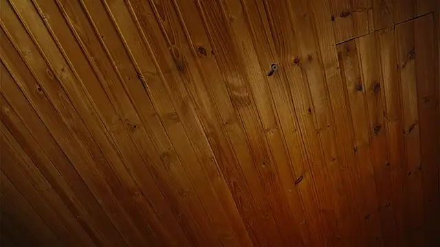 Snapshot of coraline_latin chatting on September 25, 2025, 7:39 pm coraline latin online show from September 25, 2025, 7:39 pm