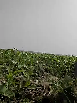 ThethunderPo online show from February 5, 2026, 5:45 am