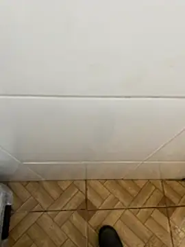 Snapshot of descret_19 chatting on February 11, 2026, 2:55 pm descret 19 online show from February 11, 2026, 2:55 pm