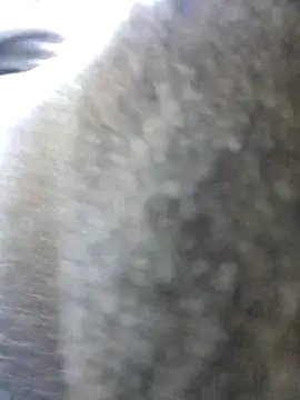 Snapshot of UncutHammer69 chatting on October 26, 2025, 11:53 pm UncutHammer69 online show from October 26, 2025, 11:53 pm