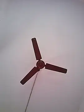 Snapshot of BlackBoy_Kolkata chatting on June 19, 2026, 7:12 am BlackBoy Kolkata online show from June 19, 2026, 7:12 am