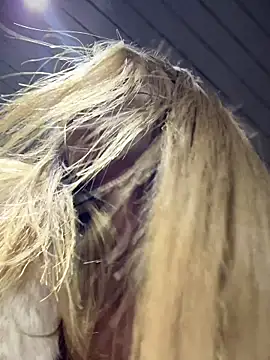 AnastasiaAniess online show from October 29, 2025, 8:10 pm