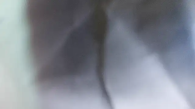 domjoab online show from February 2, 2026, 11:31 am