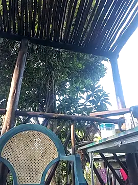 TryingWind online show from April 11, 2026, 5:01 am