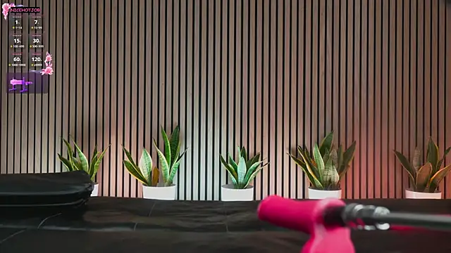 Snapshot of NiceHotJob chatting on February 3, 2025, 7:00 pm NiceHotJob online show from February 3, 2025, 7:00 pm