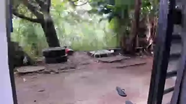 venusandzeusxh online show from December 16, 2025, 12:54 pm