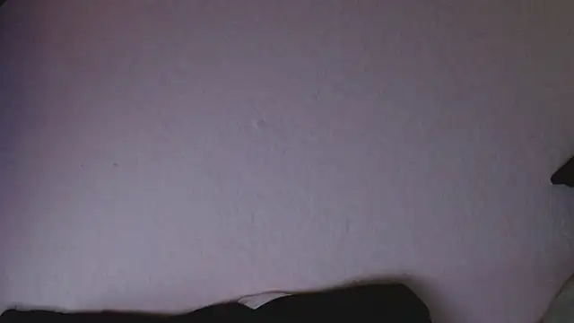 florida0217 online show from March 1, 2025, 9:48 pm