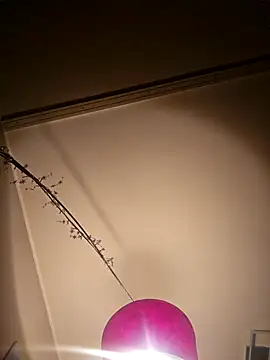 NiceHunter89 online show from February 5, 2025, 10:22 pm