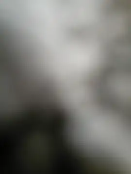 NiceHunter89 online show from September 15, 2025, 2:50 pm