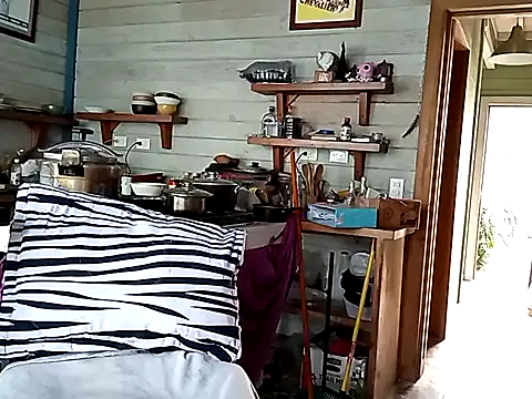 Snapshot of Luna-Natural chatting on January 5, 2025, 8:31 pm Luna-Natural online show from January 5, 2025, 8:31 pm