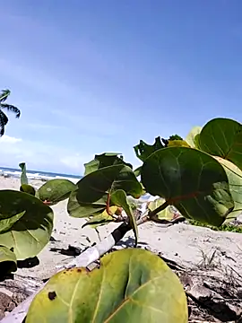 Snapshot of Luna-Natural chatting on December 14, 2025, 4:23 pm Luna-Natural online show from December 14, 2025, 4:23 pm