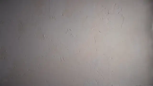 pinkgirls18 online show from February 10, 2026, 10:08 am