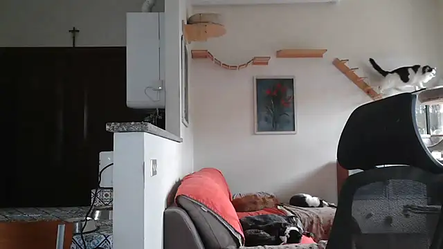 Snapshot of simona60 chatting on February 9, 2025, 2:07 pm simona60 online show from February 9, 2025, 2:07 pm