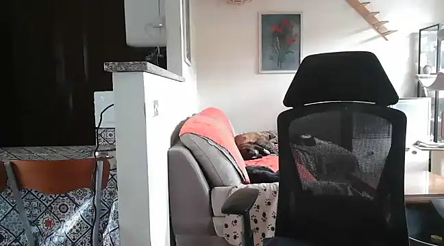 Snapshot of simona60 chatting on February 23, 2025, 2:14 pm simona60 online show from February 23, 2025, 2:14 pm