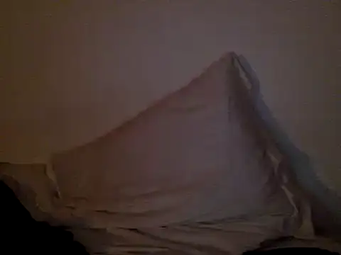 FelipeRiver online show from January 22, 2025, 1:20 am