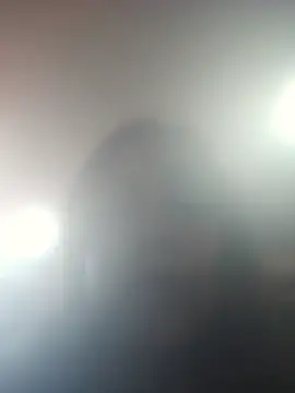 DORYY online show from July 17, 2026, 1:56 am