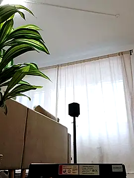 mister-dwt online show from February 26, 2025, 6:47 am