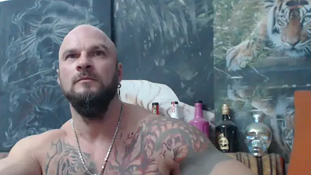 Snapshot of viking_30 chatting on November 8, 2025, 7:45 pm viking 30 online show from November 8, 2025, 7:45 pm