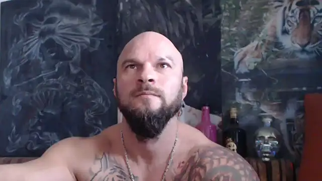 Snapshot of viking_30 chatting on November 9, 2025, 8:01 am viking 30 online show from November 9, 2025, 8:01 am