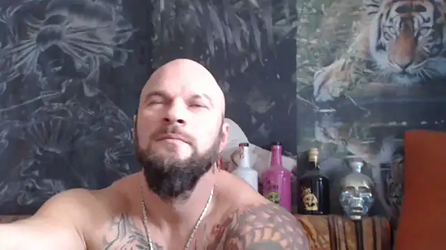 Snapshot of viking_30 chatting on November 18, 2025, 7:46 am viking 30 online show from November 18, 2025, 7:46 am