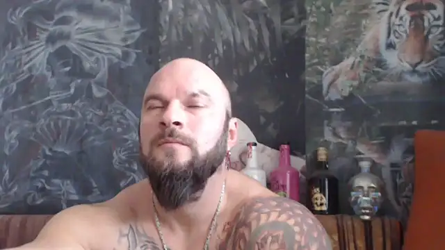 Snapshot of viking_30 chatting on November 26, 2025, 7:42 am viking 30 online show from November 26, 2025, 7:42 am