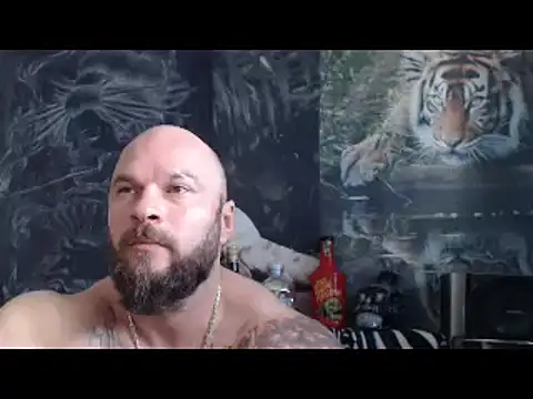 viking 30 online show from April 22, 2026, 6:16 am