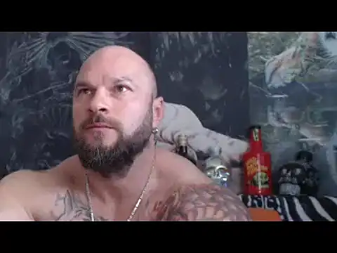 viking 30 online show from May 14, 2026, 5:58 am