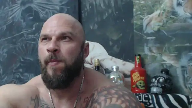 viking 30 online show from May 20, 2026, 6:36 pm