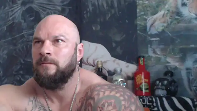viking 30 online show from May 21, 2026, 6:42 am