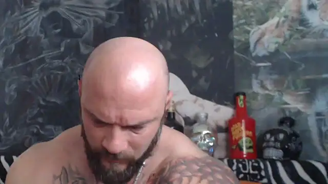 viking 30 online show from May 22, 2026, 6:53 am