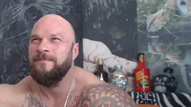 viking 30 online show from May 23, 2026, 10:19 am