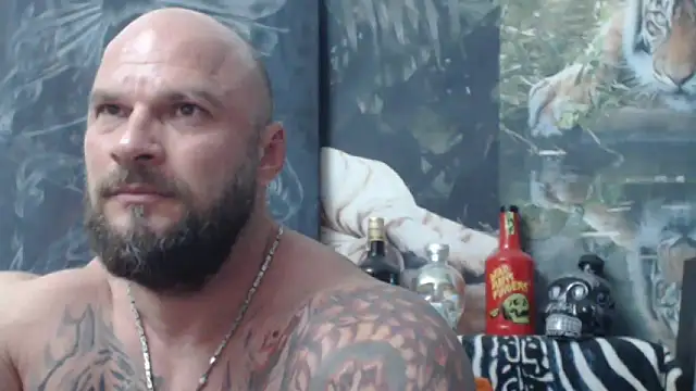 viking 30 online show from June 4, 2026, 6:36 pm