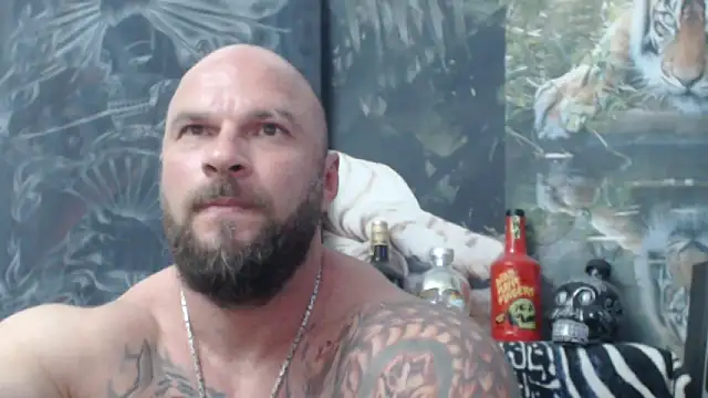 viking 30 online show from June 6, 2026, 5:50 pm