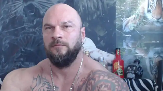 viking 30 online show from June 8, 2026, 6:14 am