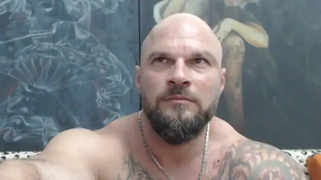 viking 30 online show from June 25, 2026, 6:34 pm