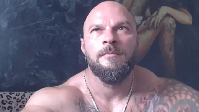 viking 30 online show from July 1, 2026, 6:26 am