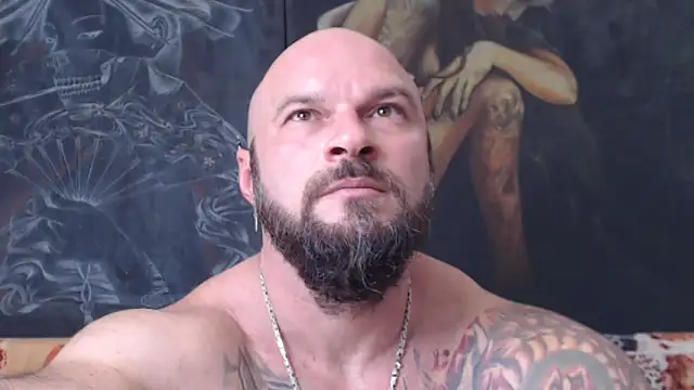 viking 30 online show from July 24, 2026, 11:41 am