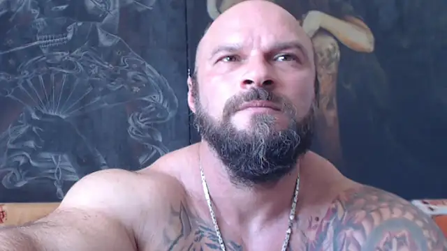 viking 30 online show from August 1, 2026, 10:47 am