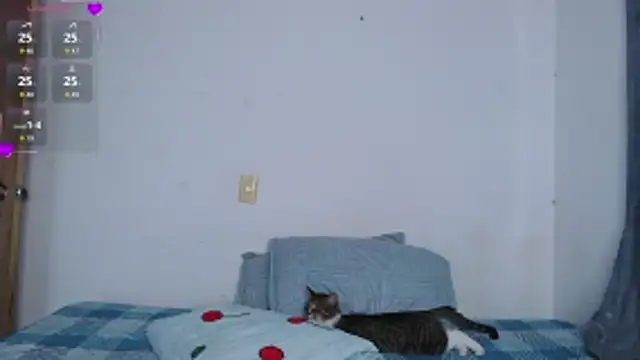 valen thompson online show from March 1, 2026, 11:07 pm