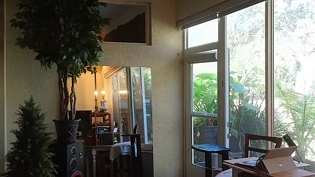 Snapshot of eliberator1777 chatting on February 14, 2025, 3:58 pm eliberator1777 online show from February 14, 2025, 3:58 pm