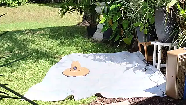 Snapshot of eliberator1777 chatting on September 21, 2025, 5:03 pm eliberator1777 online show from September 21, 2025, 5:03 pm