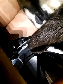 Snapshot of Dirtyfeelin chatting on November 18, 2025, 2:43 pm Dirtyfeelin online show from November 18, 2025, 2:43 pm