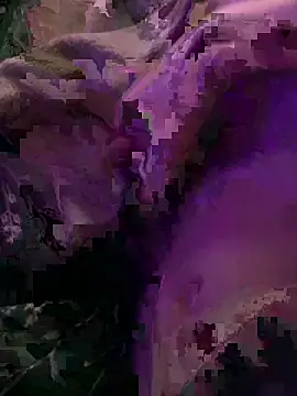 K100x online show from December 4, 2025, 8:28 pm