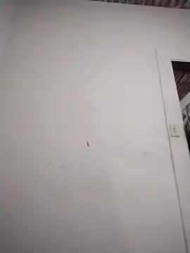 catdool online show from February 6, 2026, 10:35 pm