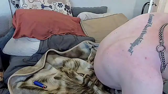 Snapshot of pyrowuff chatting on October 28, 2025, 4:53 pm pyrowuff online show from October 28, 2025, 4:53 pm