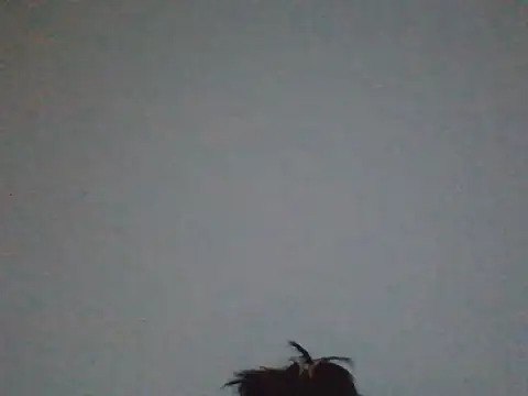 FallenDevil online show from May 31, 2026, 7:48 pm