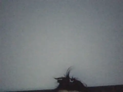 FallenDevil online show from July 3, 2026, 7:09 pm