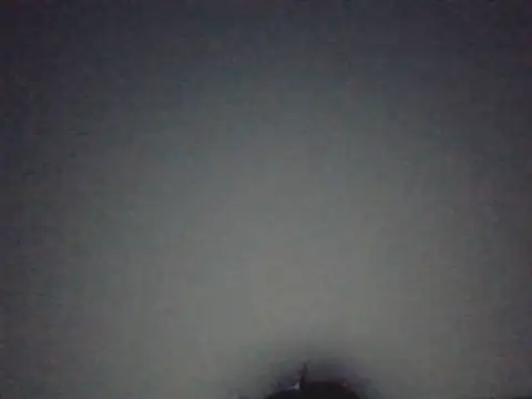FallenDevil online show from July 29, 2026, 7:23 pm